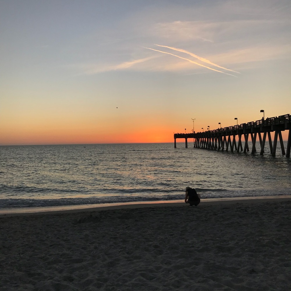 Meet your Posher, Gracie